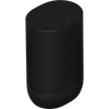 Move 2 Wireless Portable Speaker
