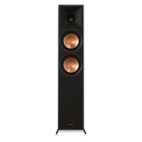 RP-6000F II 2.0.0 Dual Floorstanding Speaker + Onkyo TX-NR6100 AV Receiver