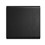 Flexus Sub 200 12" Wireless Subwoofer