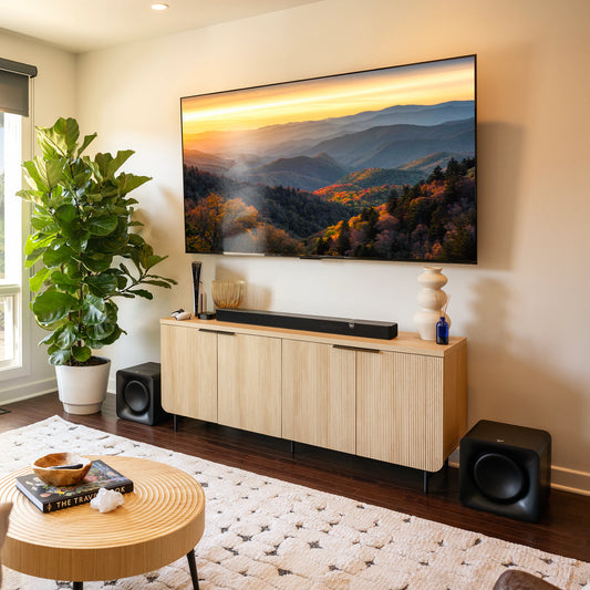 Flexus Sub 100 10" Wireless Subwoofer