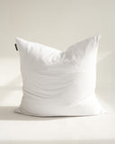 Scatter Cushion